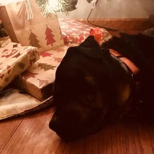 Meet your Posher, Christine